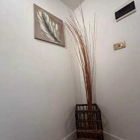 Soft House - Vacanze In Centro -